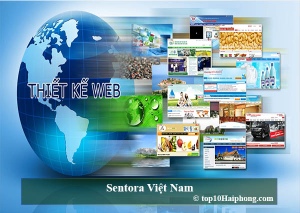 Sentora Việt Nam