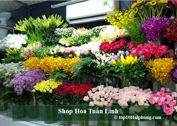Shop Hoa Tuấn Linh