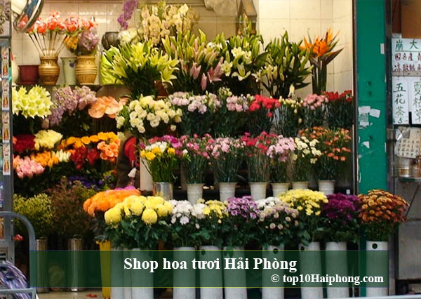 Shop hoa tươi Hải Phòng