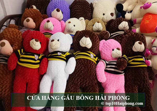 CỬA HÀNG GẤU BÔNG HẢI PHÒNG