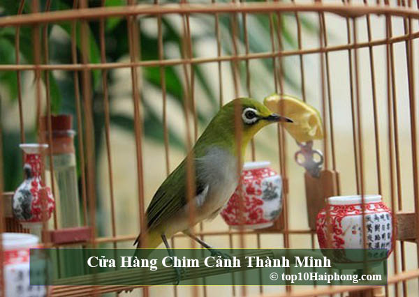 Cửa Hàng Chim Cảnh Thành Minh
