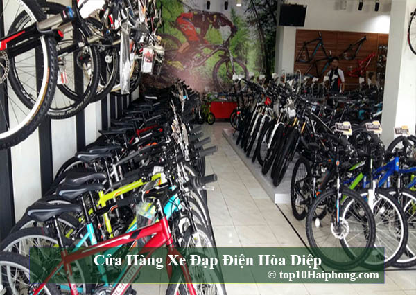 Top 10 cửa hàng xe đạp đa dạng mẫu mã và uy tín nhất tại Hải Phòng