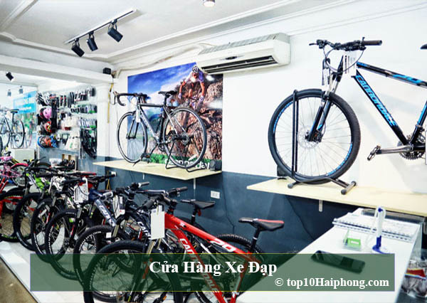 Xe đạp địa hình Giant International tại Hải PhòngHệ thống xe điện Thanh  Tùng