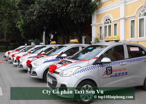Công ty Cổ phần Taxi Sơn Vũ