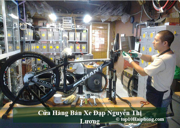 Cửa Hàng Bán Xe Đạp Nguyễn Thị Lương