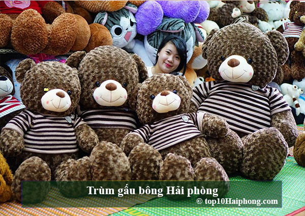 Trùm gấu bông Hải phòng