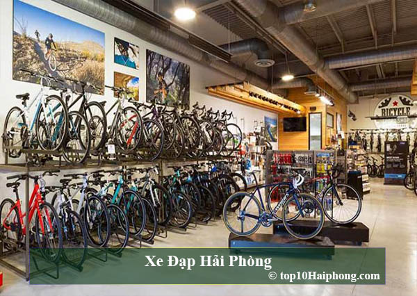 Top 10 cửa hàng bán xe đạp tốt nhất tại Buôn Ma Thuột